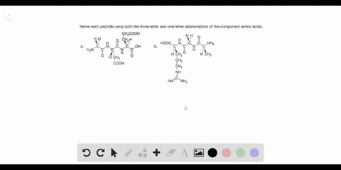 name-each-peptide-using-both-the-three-letter-and-one-letter-abbreviations-of-the-component-amino-ac