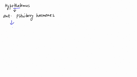 how-does-the-hypothalamus-regulate-the-secretion-of-the-anterior-pituitary