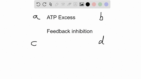 when-atp-is-in-excess-within-the-cell-which-of-the-following-happens-a-phosphofructokinase-is-inhibi
