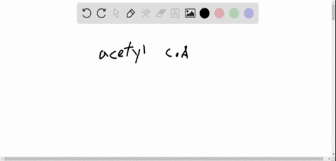 acetyl-coa-can-be-converted-to-all-of-the-following-except-______-a-ketone-bodies-b-fatty-acids-c-po