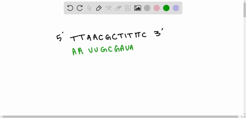 a-sequence-of-nucleotides-in-a-dna-strand-5prime-ttaacggcttititc-3was-used-as-a-template-to-synthesi