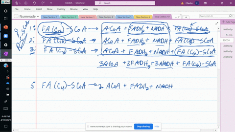 is-the-beta-oxidation-of-a-fatty-acid-without-the-subsequent-metabolism-of-mathrmc_2-fragments-via-t