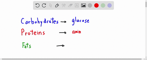 how-is-the-digestion-of-fats-different-from-that-of-proteins-and-carbohydrates-a-fat-digestion-occur
