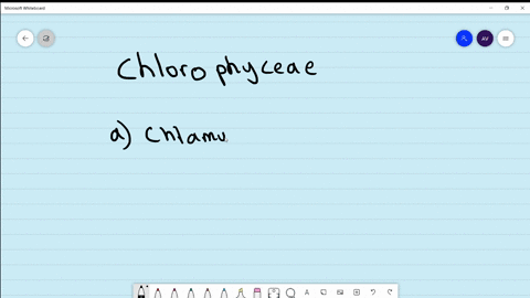 a-member-of-class-chlorophyceae-is-a-chlamydomonas-b-volvox-c-ulothrix-d-all-of-these
