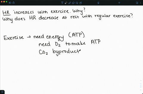 why-does-the-heart-rate-increase-during-exercise-why-does-regular-exercise-decrease-the-resting-hear