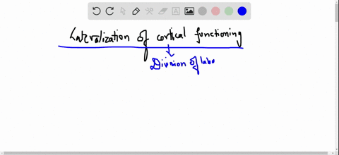 a-what-does-lateralization-of-cortical-functioning-mean-b-why-is-the-term-cerebral-dominance-a-misno