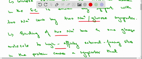 describe-the-symport-process-by-which-cells-lining-the-small-intestine-import-glucose-what-ion-is-re