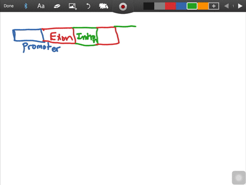 explain-the-relationship-between-eukaryotic-promoter-sequences-basal-transcription-factors-and-rna-p