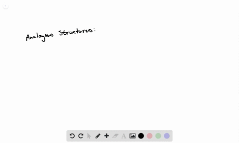 which-of-the-following-are-an-example-of-analogous-structures-a-wings-of-birds-and-bats-b-hooves-of-