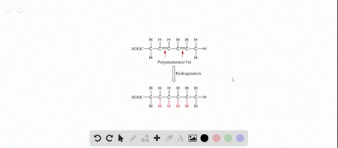 identify-two-reactions-that-fatty-acids-undergo-2