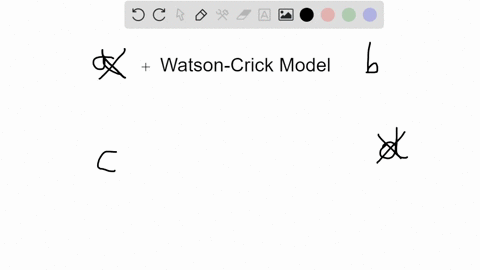which-of-the-following-is-not-part-of-the-watson-crick-model-of-the-structure-of-dna-a-dna-is-comp-3