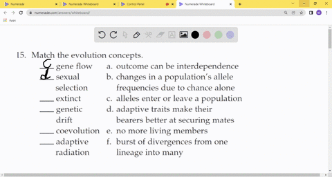match-the-evolution-concepts-_______-gene-flow-_______-sexual-selection-_______-extinct-_______-gene