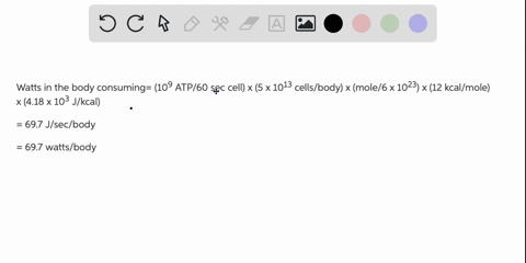 assuming-that-there-are-5-times-1013-cells-in-the-human-body-and-that-atp-is-turning-over-at-a-rate-