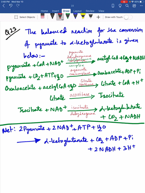 it-is-possible-with-the-use-of-the-reactions-and-enzymes-considered-in-this-chapter-to-convert-pyruv