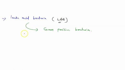 lactic-acid-bacteria-a-have-gram-negative-cell-walls-b-fix-nitrogen-under-anaerobic-conditions-c-wer