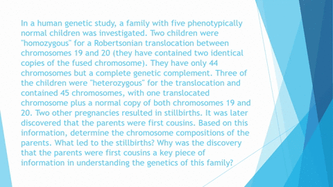 in-a-human-genetic-study-a-family-with-five-phenotypically-normal-children-was-investigated-two-ch-2