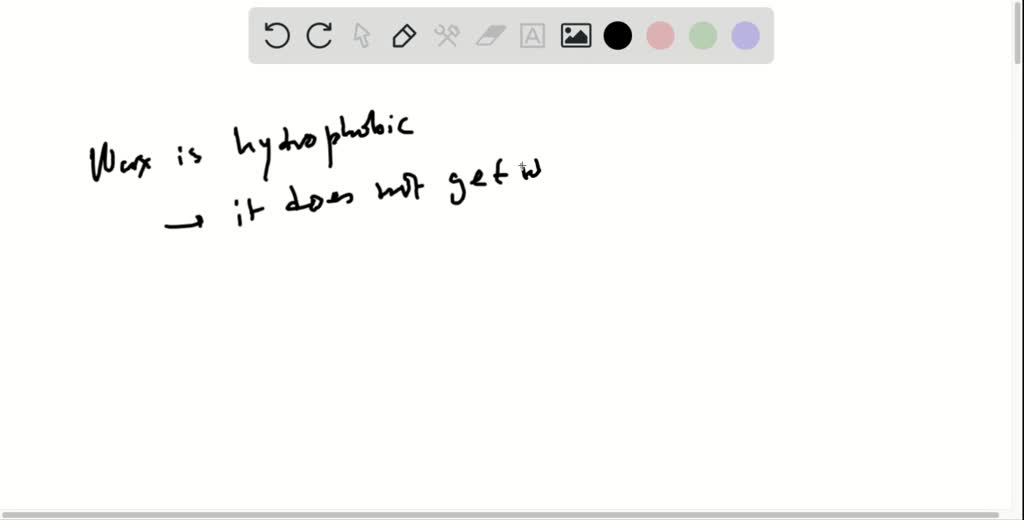 Why does water bead up when it is spilled on a waxed … SolvedLib