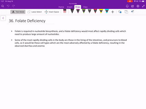 suppose-someone-was-suffering-from-a-folate-deficiency-what-cells-would-you-think-might-be-most-affe