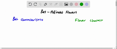 bat-pollinated-flowers-a-are-colorful-b-are-open-throughout-the-day-c-are-strongly-scented-d-have-li