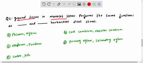 ground-tissue-in-monocot-stems-performs-the-same-functions-as-______________-and-______________-in-h