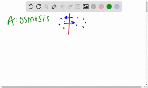 which-of-the-following-processes-includes-all-the-others-a-osmosis-b-diffusion-of-a-solute-across-a-