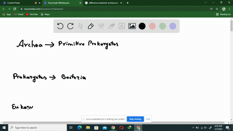 which-of-the-following-groupings-lists-only-domains-a-eukarya-bacteria-and-animalia-b-plantae-protis