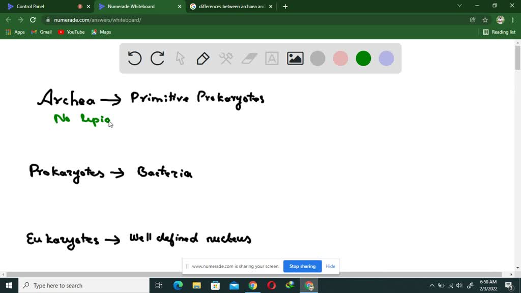 Which of the following groupings lists only domains?
a. Eukarya, Bacteria, and Animalia
b. Plantae, Protista, and Archaea
c. Archaea, Bacteria, and Eukarya
d. Bacteria, Archaea, and Fungi