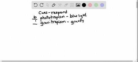 match-the-response-with-its-main-trigger-________phototropism-________gravitropism-________thigmotro