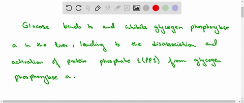 glucose-binds-to-glycogen-phosphorylase-and-competitively-inhibits-the-enzyme-what-is-the-physiolo-2