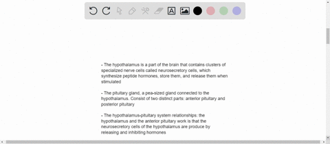 describe-the-structure-and-function-of-the-hypothalamuspituitary-complex-describe-how-releasing-horm