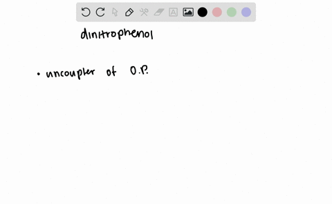why-was-dinitrophenol-once-used-as-a-diet-drug-2