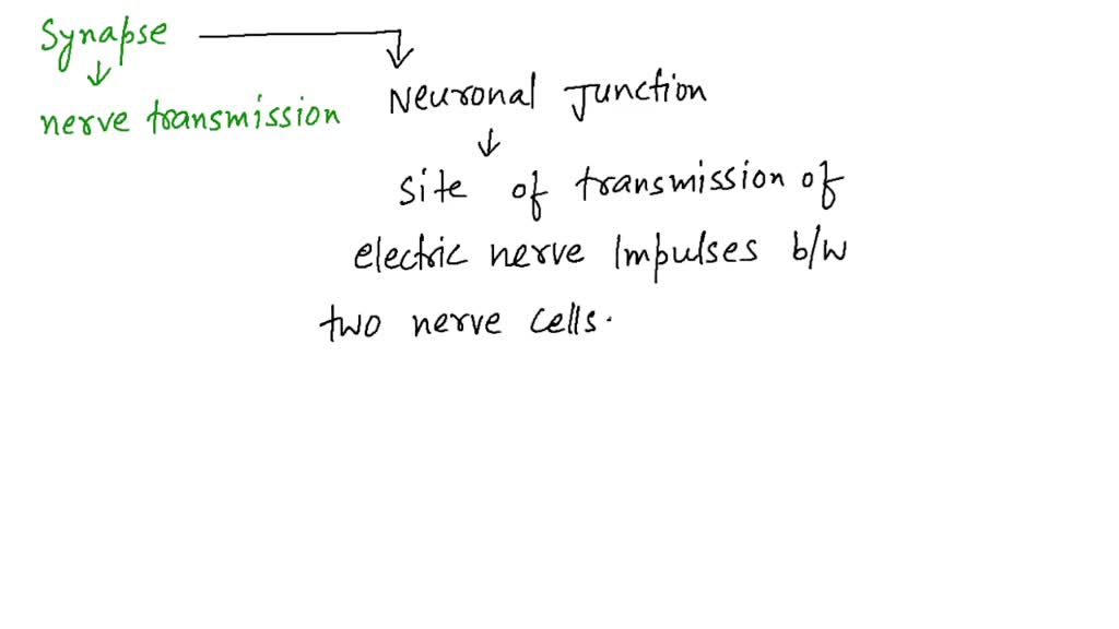 solved-what-is-the-endolymph-what-is-the-perilymph-how-do-hair-cells