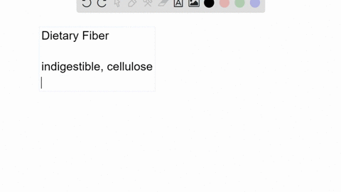 what-is-the-importance-of-fiber-in-the-diet-3