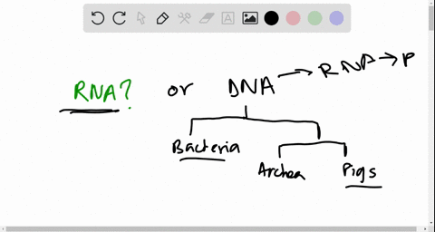 dna-technology-such-as-the-production-of-transgenic-animals-is-possible-only-because-widely-differ-2