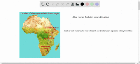 where-did-the-major-events-of-human-evolution-occur-a-africa-b-south-america-c-europe-d-north-americ