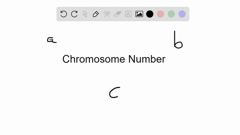 chromosome-number-_____-a-refers-to-a-particular-chromosome-pair-in-a-cell-b-is-an-identifiable-feat