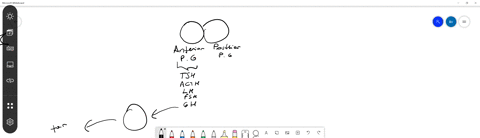 the-posterior-pituitary-secretes-a-hormones-that-control-the-hypothalamus-b-igf-which-simulates-cell