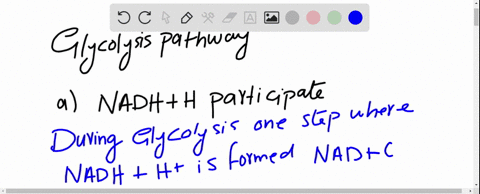 a-at-which-step-of-the-glycolysis-pathway-does-nad-participate-see-figures-28-3-and-28-4-b-at-which-