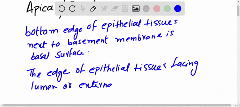 the-tgn-trans-golgi-network-is-the-site-of-multiple-sorting-processes-as-proteins-and-lipids-exit-th