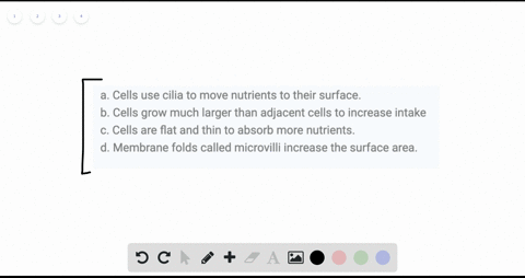 cells-lining-the-intestine-absorb-a-lot-of-nutrients-how-did-those-cells-adapt-to-their-function-a-c