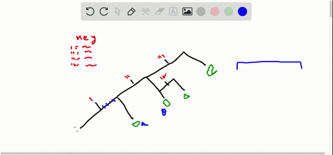neutral-mutations-are-those-that-do-not-affect-_______-a-amino-acid-sequence-b-nucleotide-sequence-c