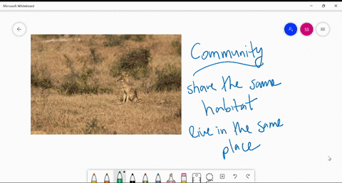 a-community-consists-of-species-_____-a-that-share-a-habitat-b-that-do-not-compete-c-that-share-a-ge