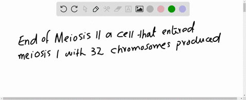 by-the-end-of-meiosis-ii-a-cell-that-had-entered-meiosis-i-with-32-chromosomes-would-have-produced-_