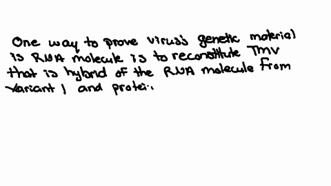 bacterial-transformation-and-bacteriophage-labeling-experiments-proved-that-dna-was-the-hereditary-m
