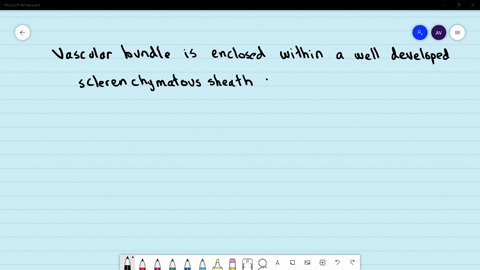 vascular-bundle-is-enclosed-within-a-well-developed-sclerenchymatous-sheath-in-a-monocot-stem-b-dico