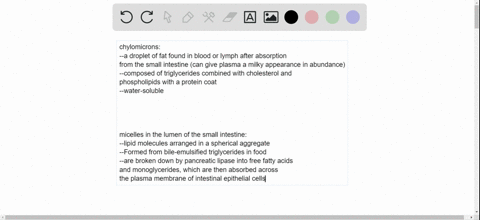 chylomicrons-are-like-the-tiny-micelles-of-dietary-fat-in-the-lumen-of-the-small-intestine-in-that-3