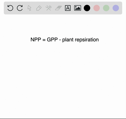 which-of-the-following-equations-shows-the-relationship-between-gross-primary-productivity-cpp-and-n