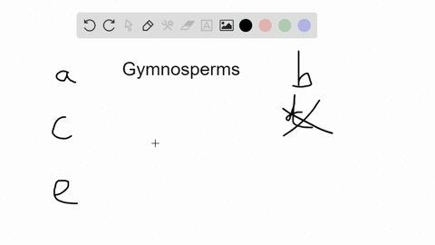gymnosperm-evolution-is-also-notable-for-which-of-the-following-adaptive-feature-or-features-a-polli