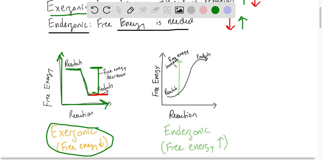 Exergonic SOLVED:INTERPRET DATA Does the figure illustrate an exergonic reaction ...