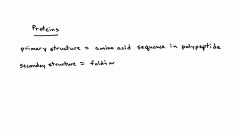 which-type-of-protein-structure-describes-the-order-of-amino-acids-in-the-protein